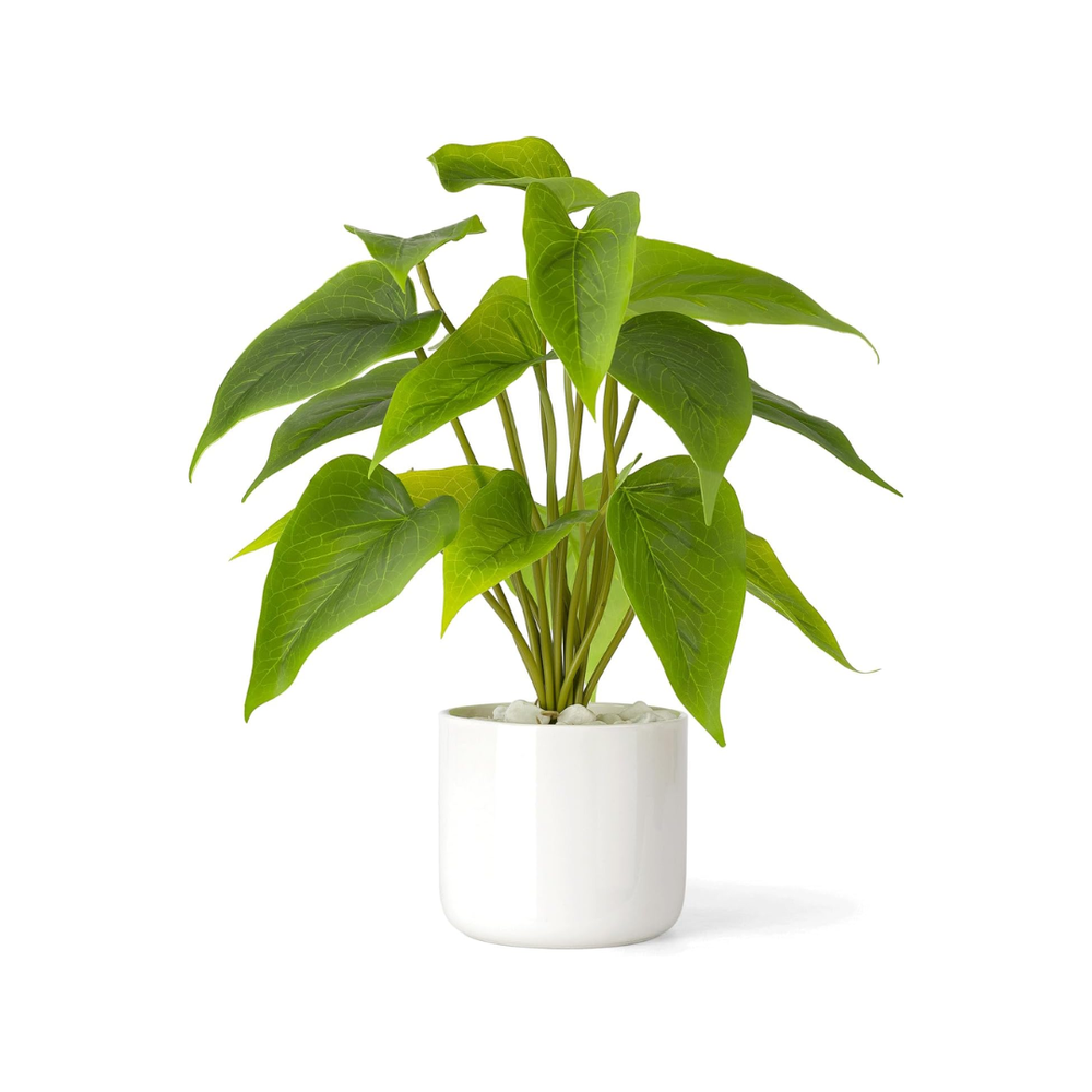 potted-faux-realistic-indoor-plant.png
