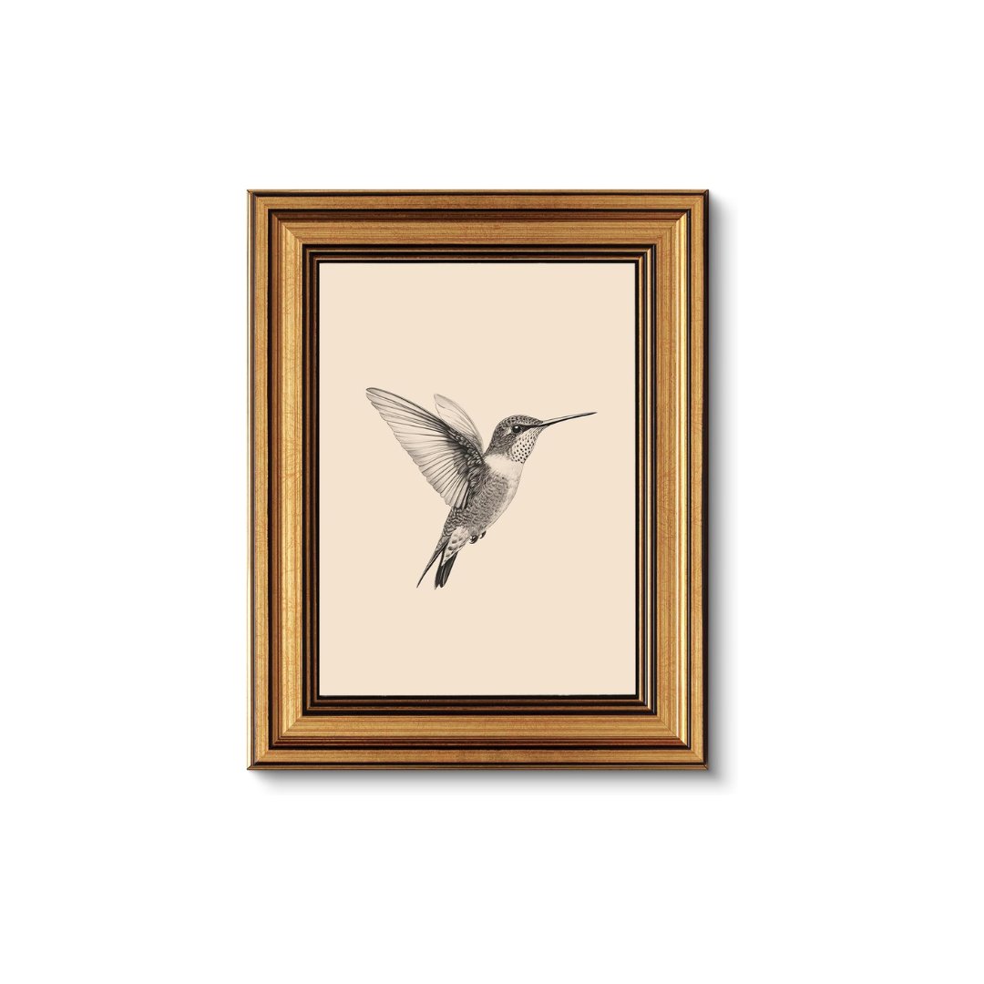vintage-hummingbird-art-print-amazon.png