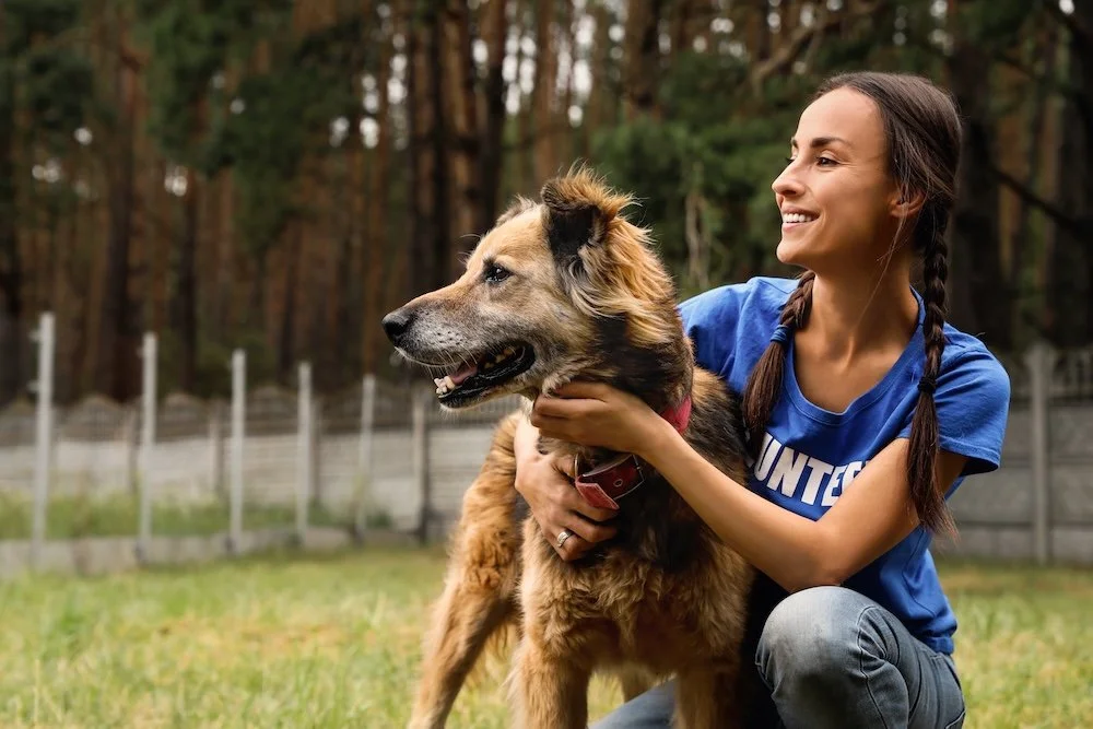 Prepare in a Year 2025: Plan for Pets & Livestock