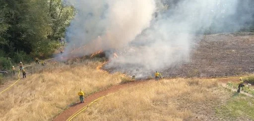 BP Drones Support BIFD at Bloedel Reserve Prescribed Burn