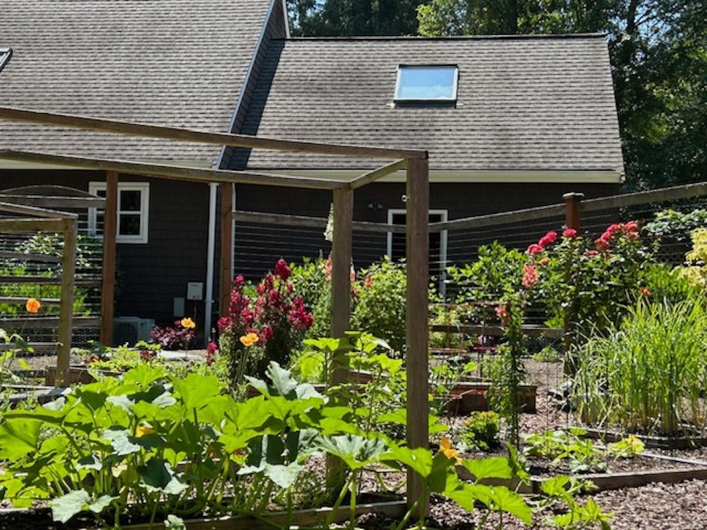  Debra Garvey sent beautiful produce to Fishline in Poulsbo 