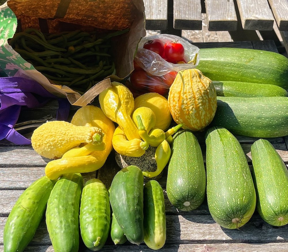  Yes, they actually do want zucchini. Clients know many ways to make use of it. 