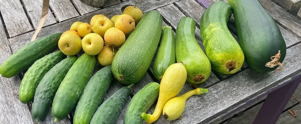  Donations large and small - especially small- added up to a noticeable addition to food bank shelves. 