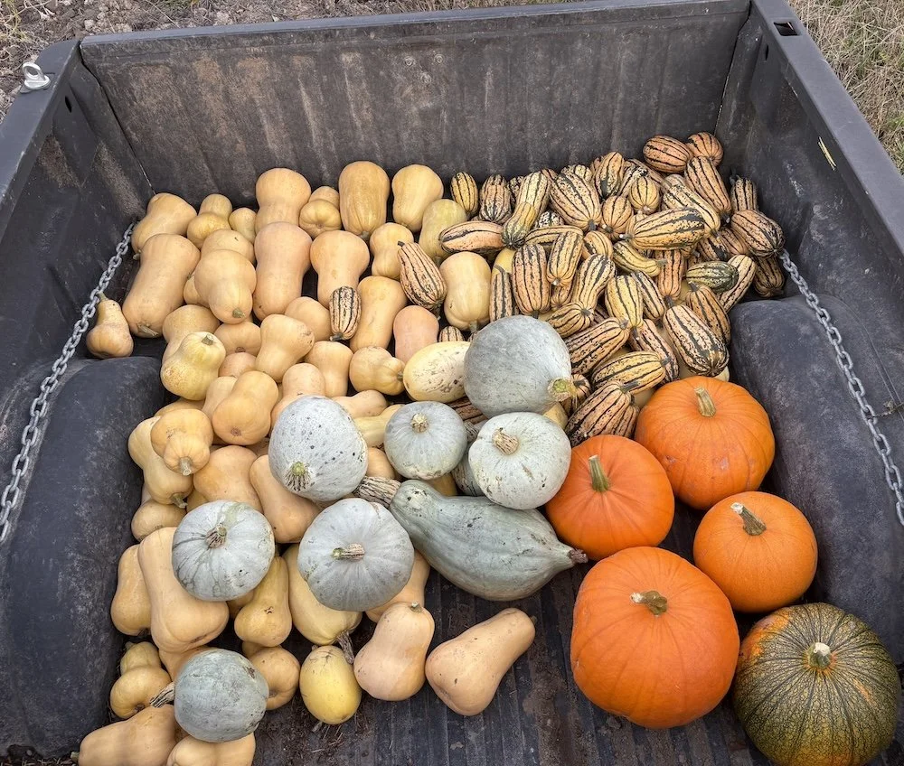  Food bank manger, Lianne Ristow thanked Grow for Helpline creators and participants for stepping up with "creativity and compassion—launching a program that now fills our Food Bank shelves with fresh, locally grown produce." 