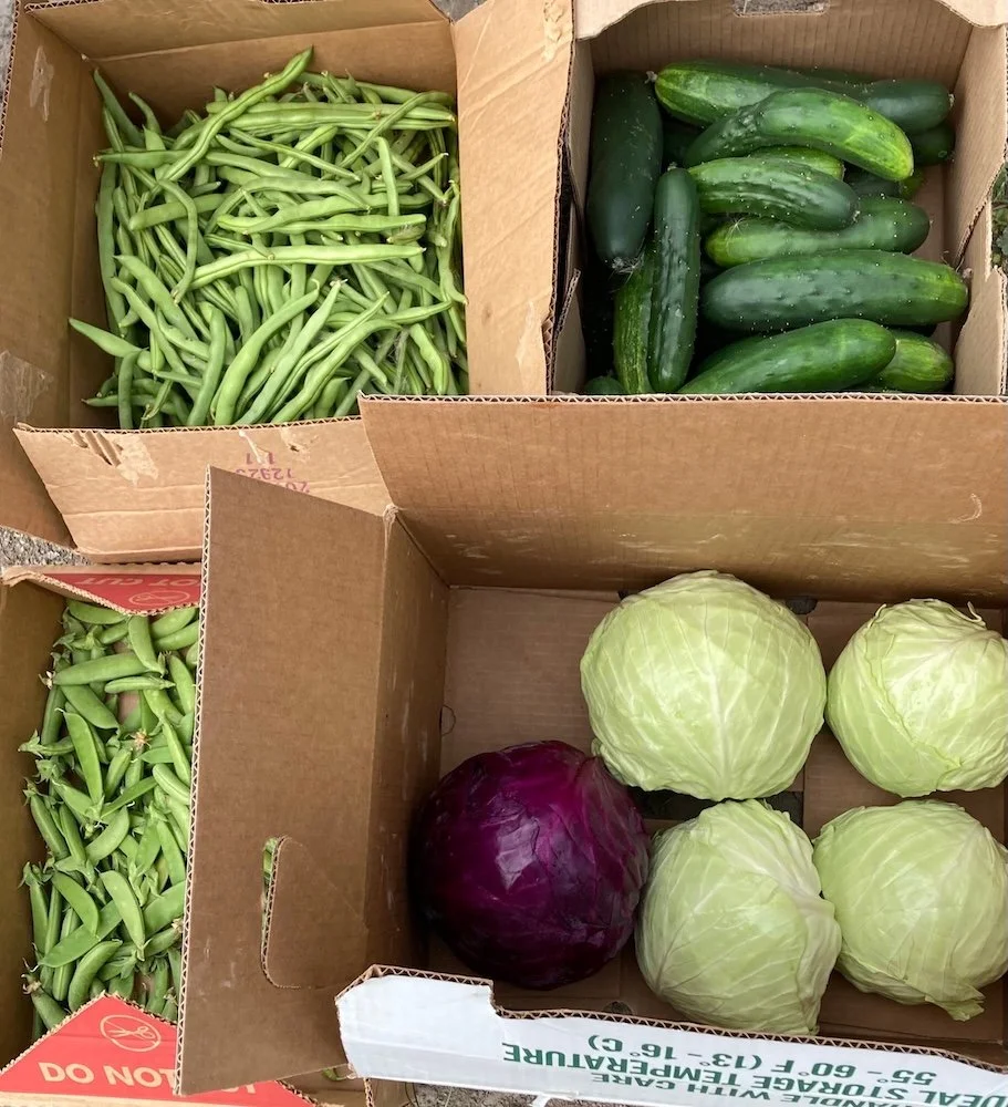  Donations from home gardens large &amp; small combined to increase produce donations by about 3000 pounds 