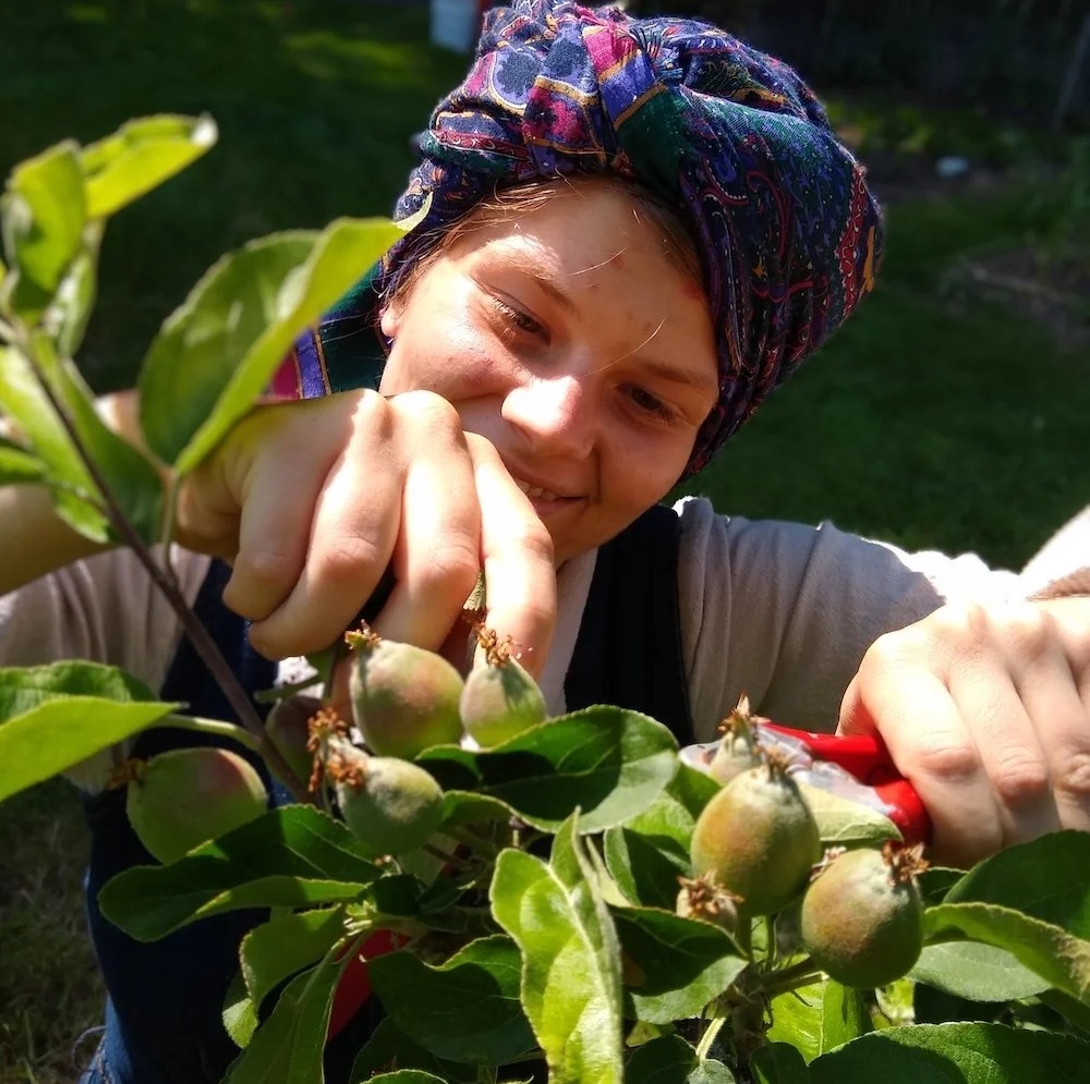  Farm intern, Sophia Shier-Hanson, donated her free time to help anyone growing for a food bank. 