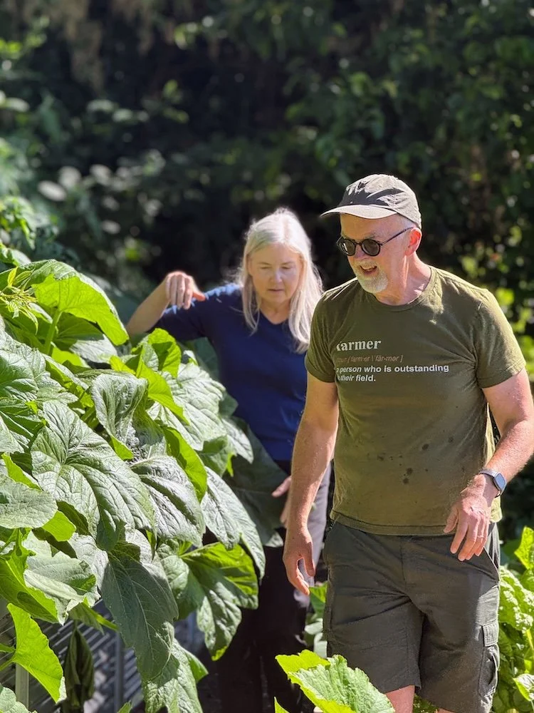  Through Growing Connections, Darren Murphy grew crops in Naomi &amp; David Spinak's garden, which they rebuilt specifically to grow for the food bank. 