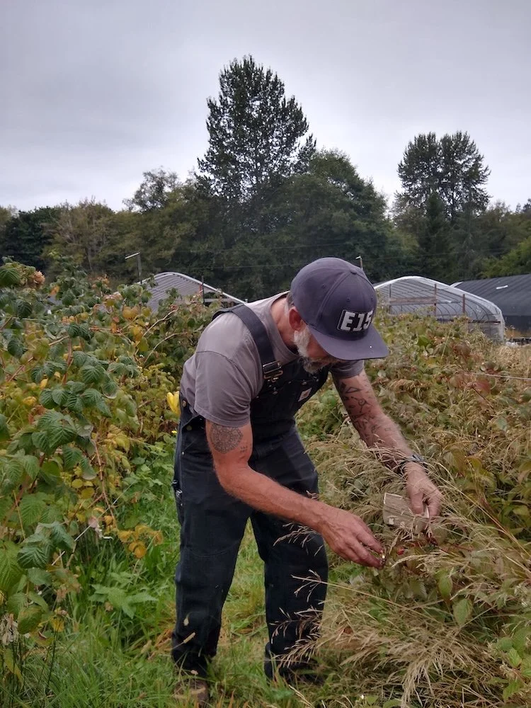  Some of our members became regular volunteers at BI food bank farms.    