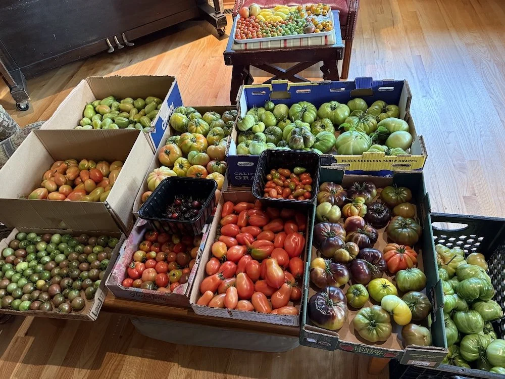  Veg Club members Kim Smith &amp; Lara Lant stepped in to fill a significant need at Anita Rockefeller's Rock Farm, which sends over a ton of produce to food banks. 