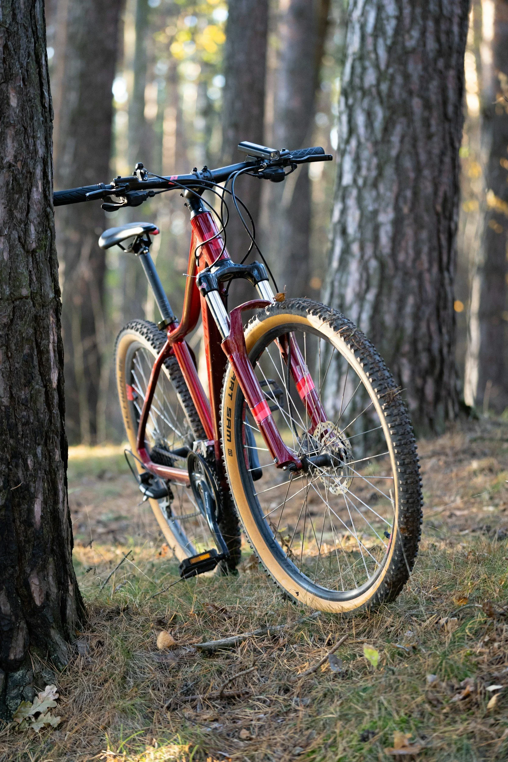 A bicycle leaning against a tree in the woods