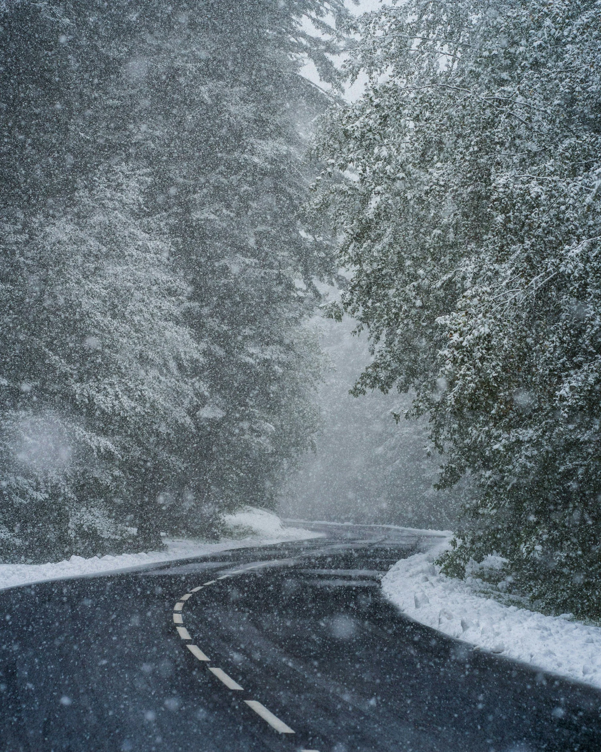Snowy and forested rural road
