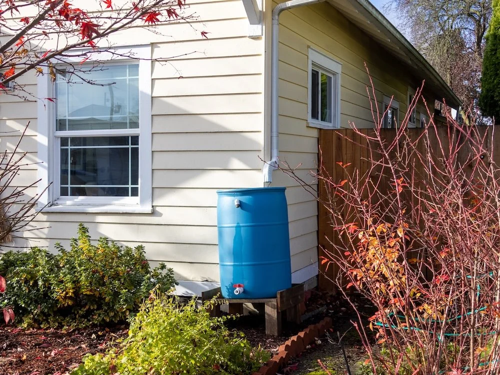 Rain! What Is It Good for? In Fact, Quite a Bit