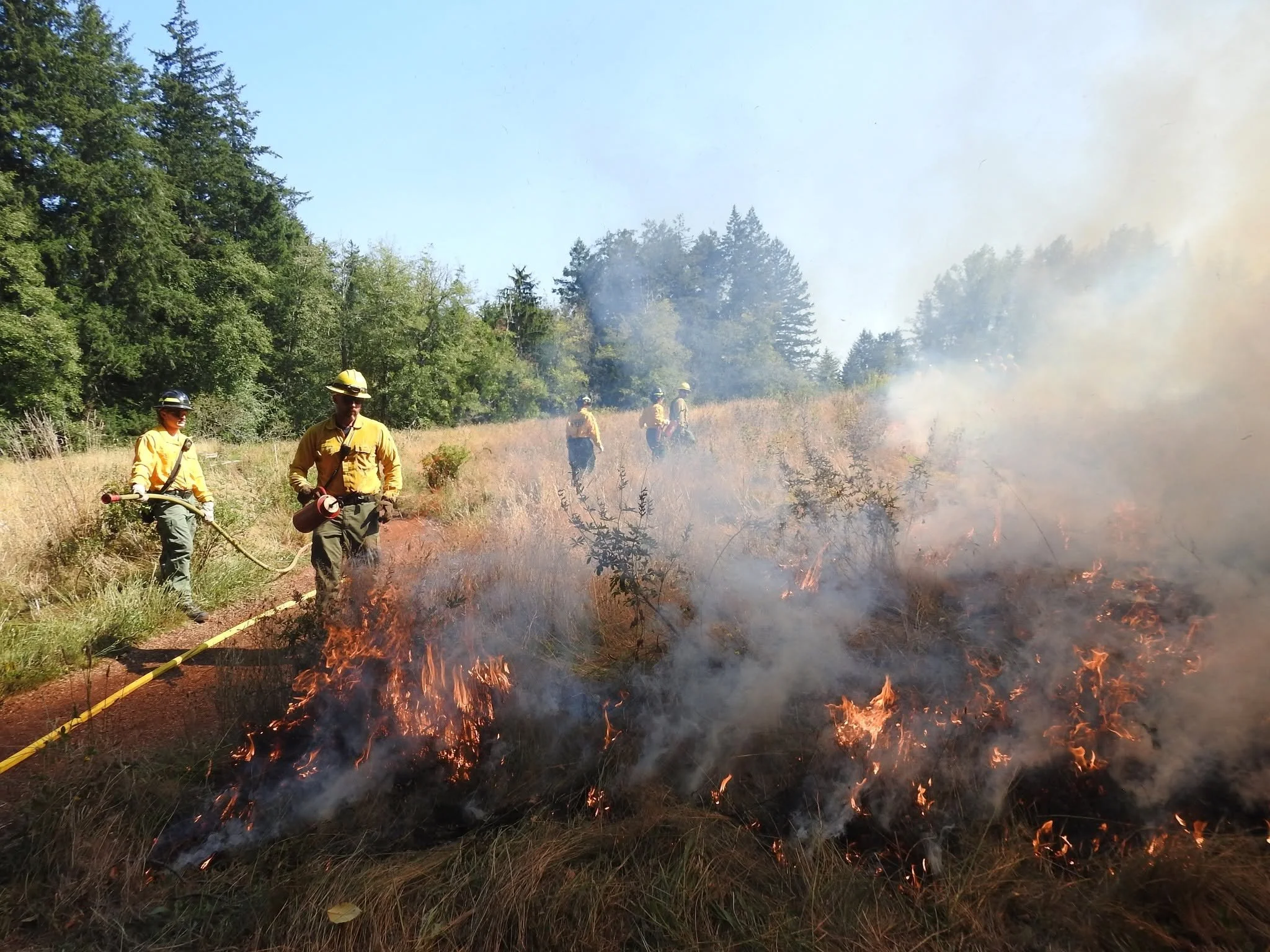 BP Drone Backs up BIFD at Prescribed Burn