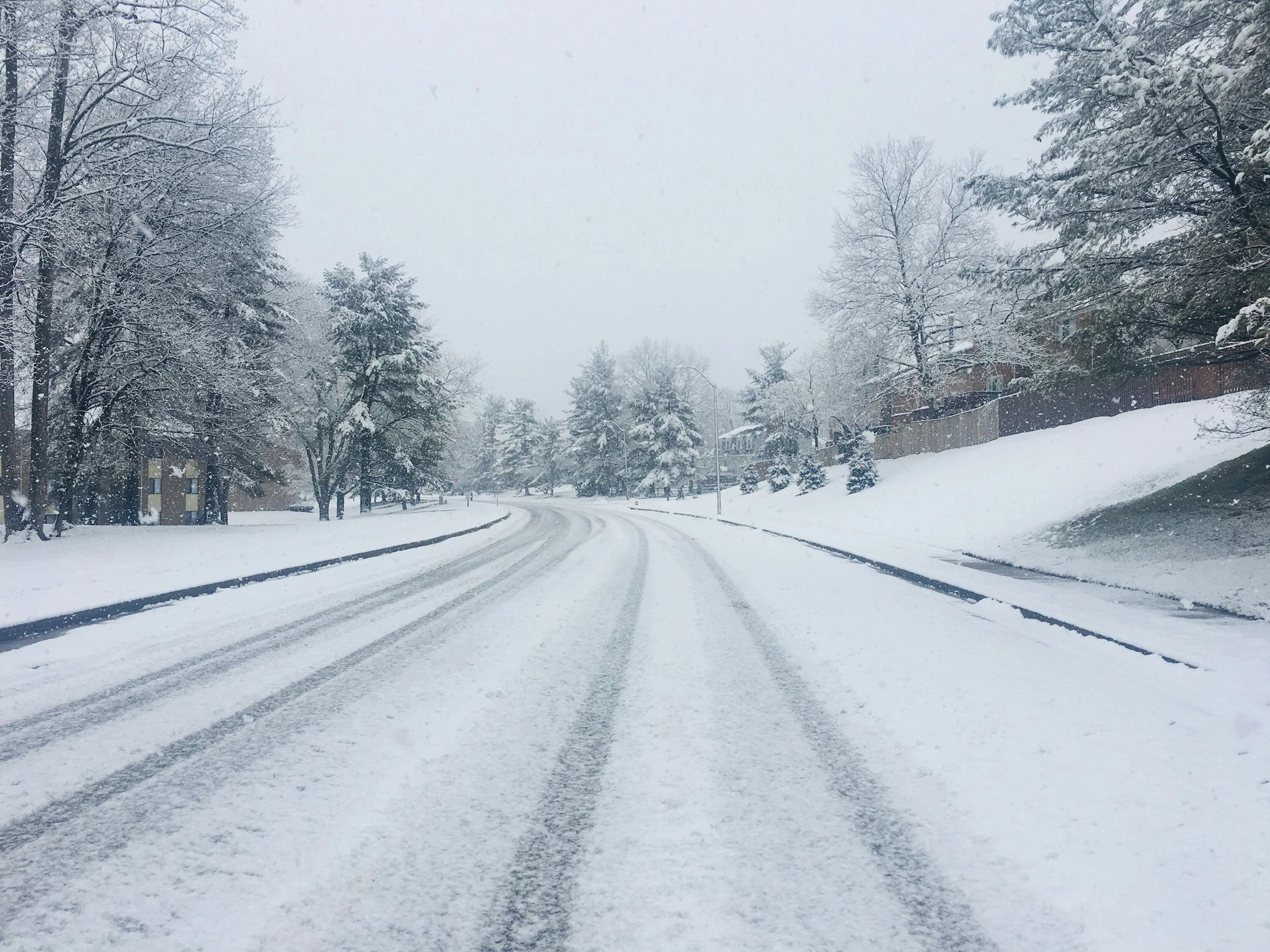 A road covered in snow and flanked by trees