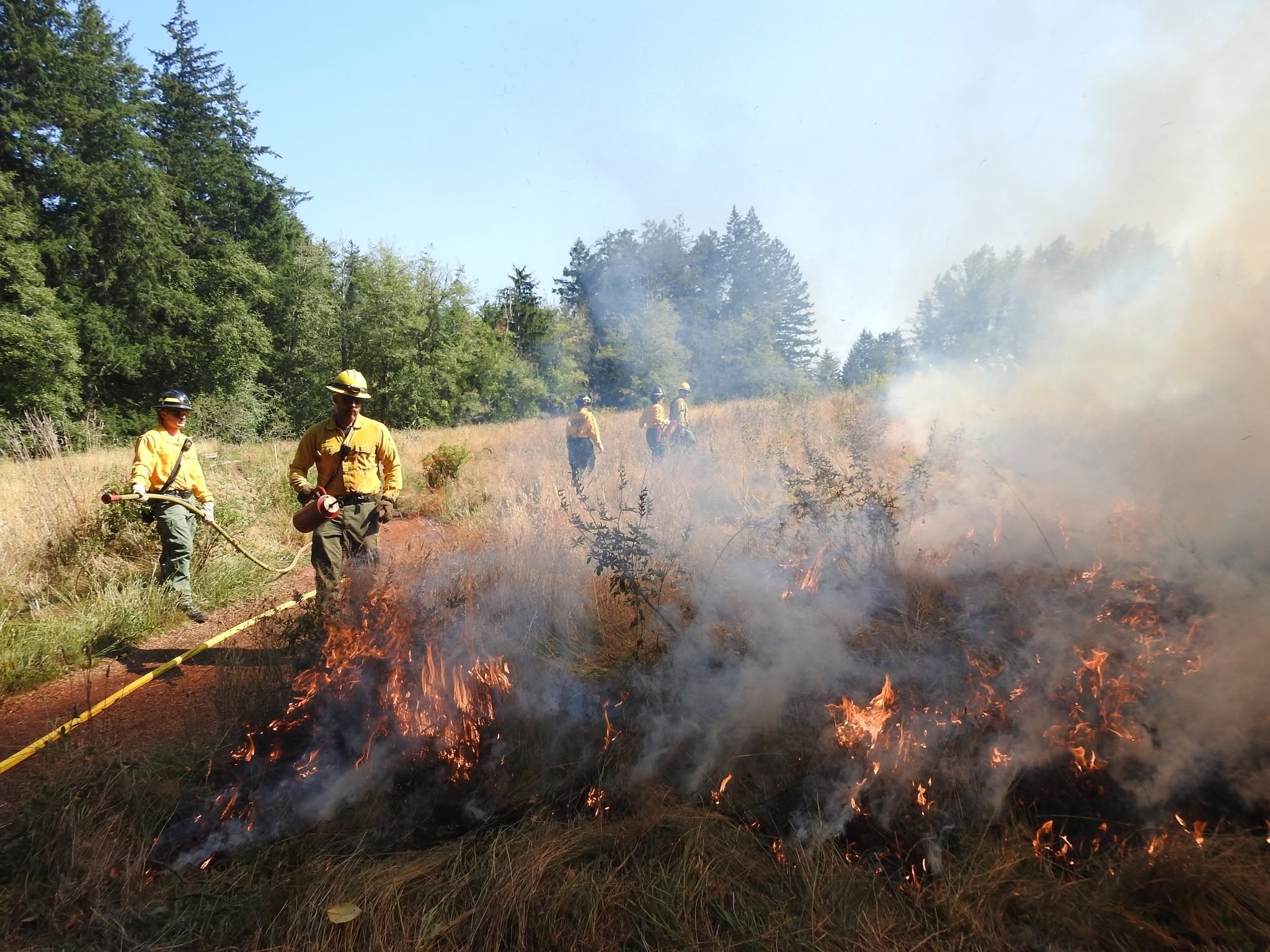 Firefighters monitoring the prescribed burn at Bloedel