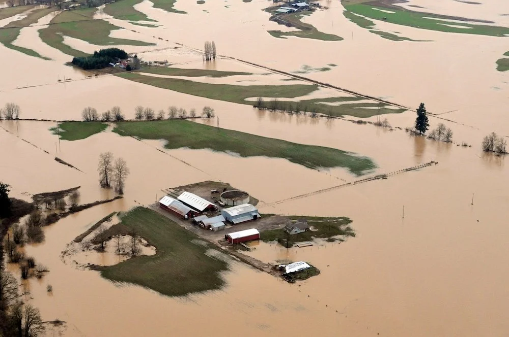 Aerial view of flooded farmland in Washingtoin State
