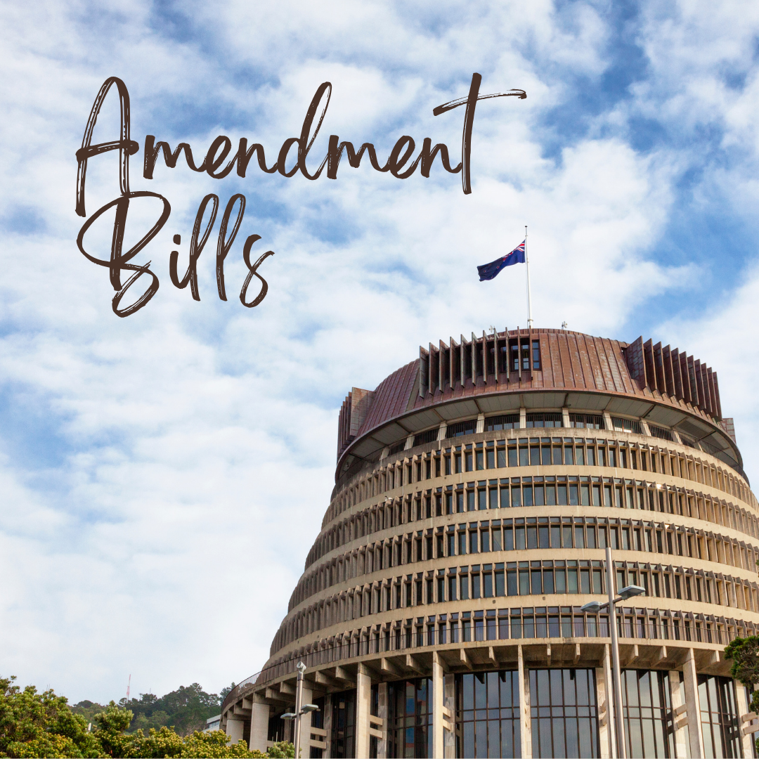 AML/CFT Amendment Bills 2026