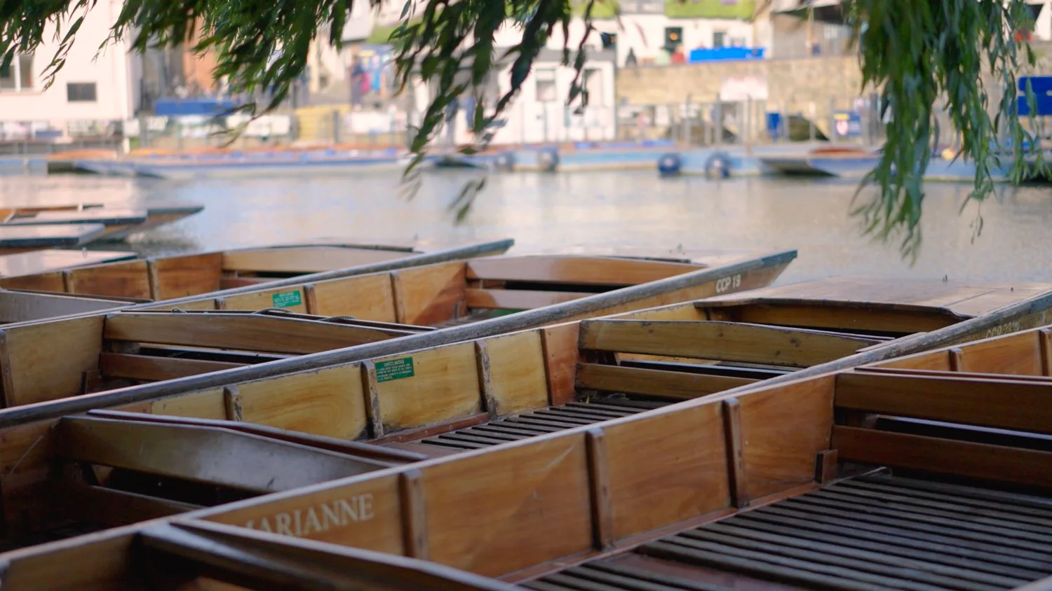 ticketer-punting-1.jpg