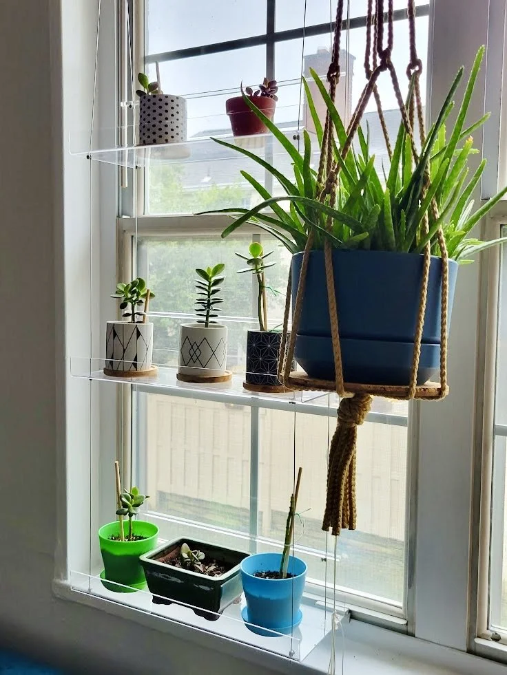 3-tier shelf in window with hanging plants