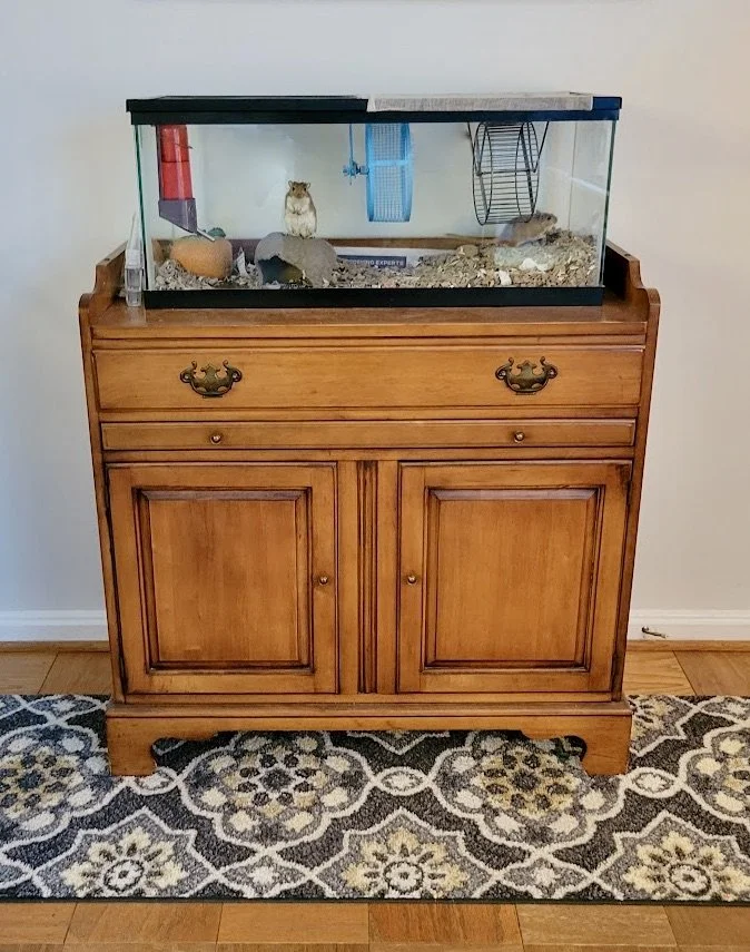 Small cabinet with pet aquarium on top