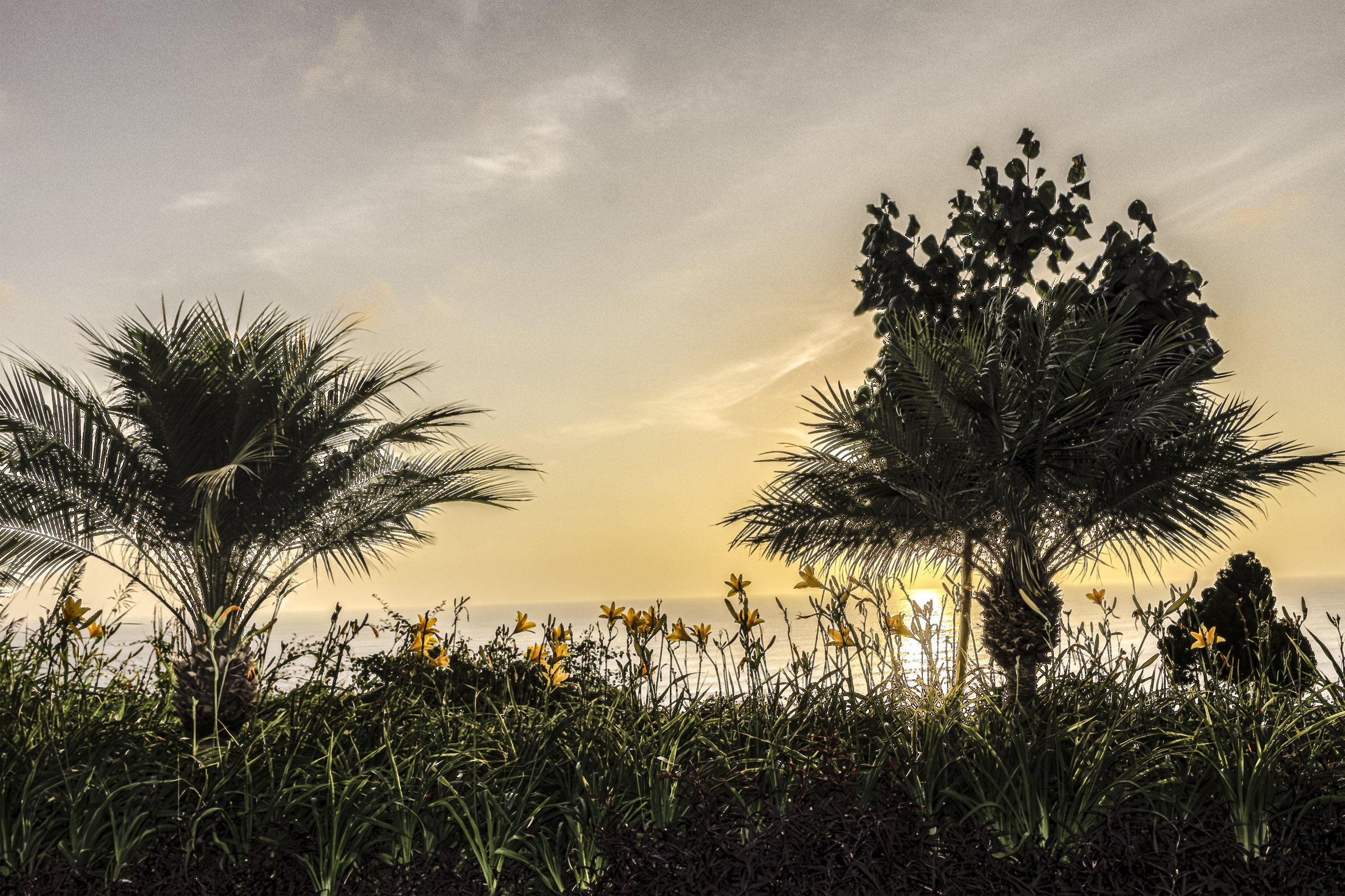 Golden Horizon Serenade.jpg