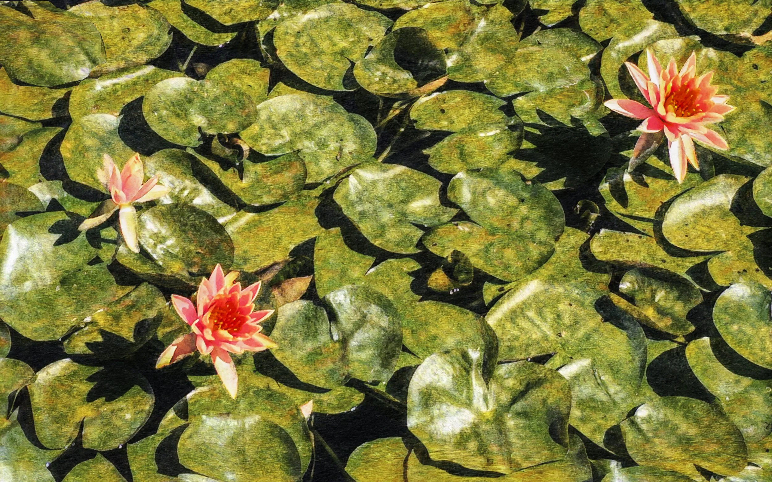 Nature’s Tapestry.jpg