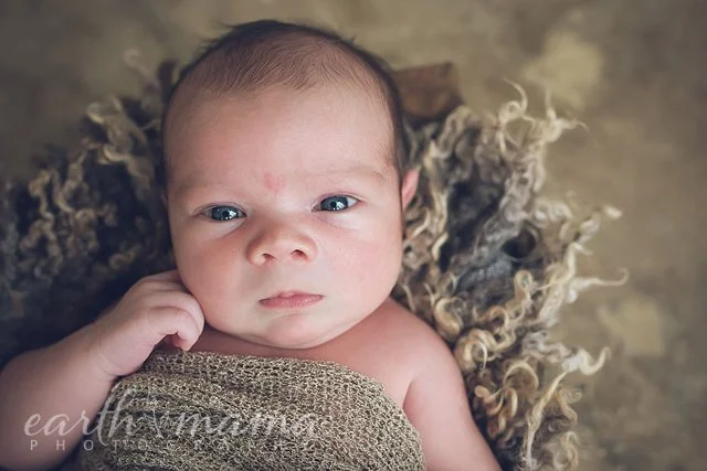 The Newborn Session of Asher