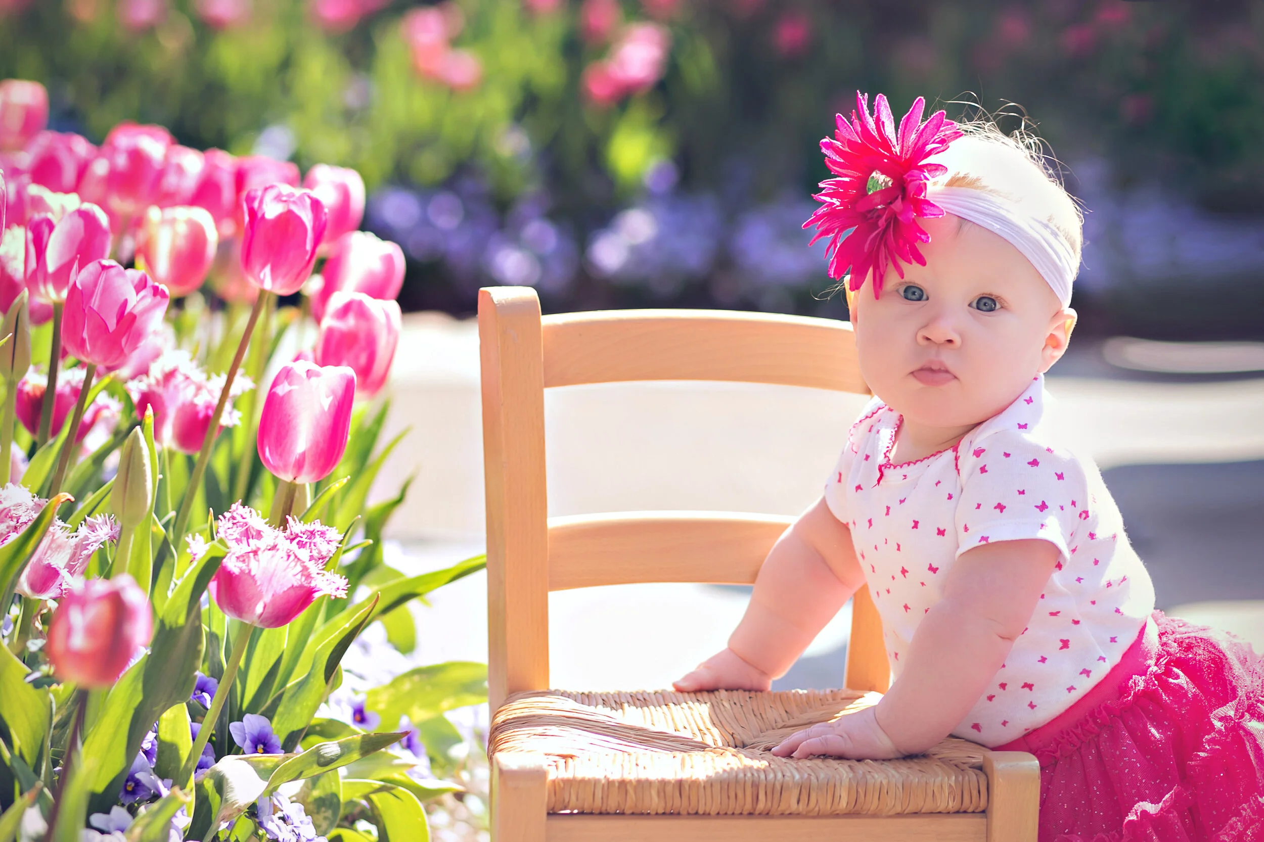 Tulip Mini Sessions are Here!