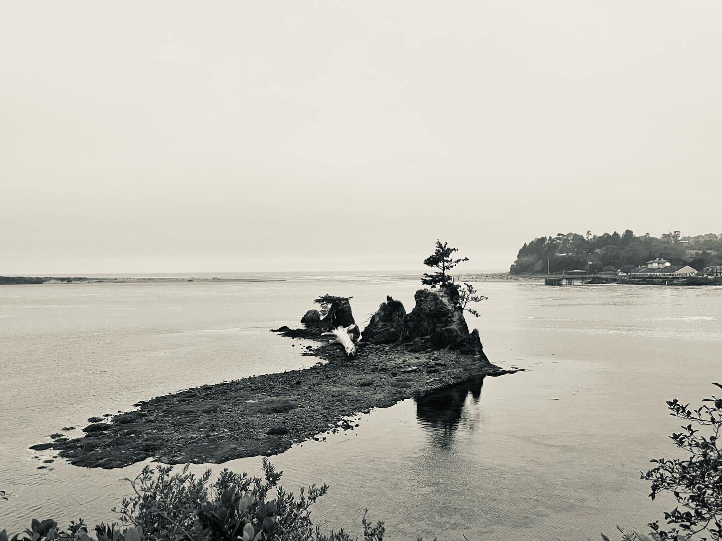 It was a cloudy evening as we drove along the Oregon coast. It had been drizzling all evening when we rounded the bend and I told Amy to pull over. This spot was just so beautiful. I loved the little island with a tree and a fishing village in the ba