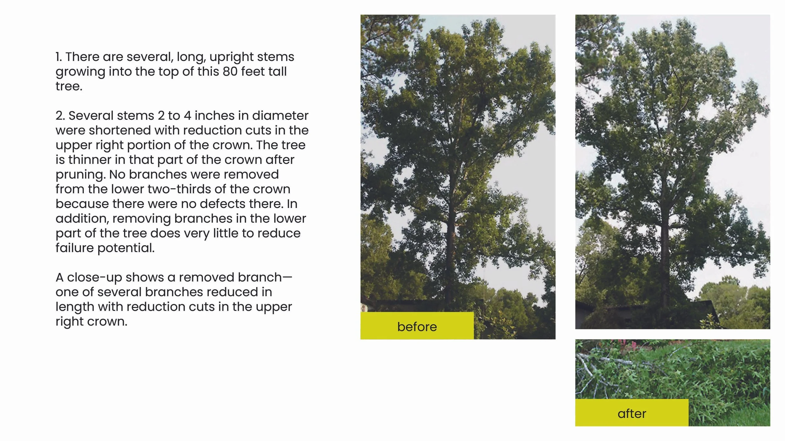 Structural Pruning Pages17.jpg