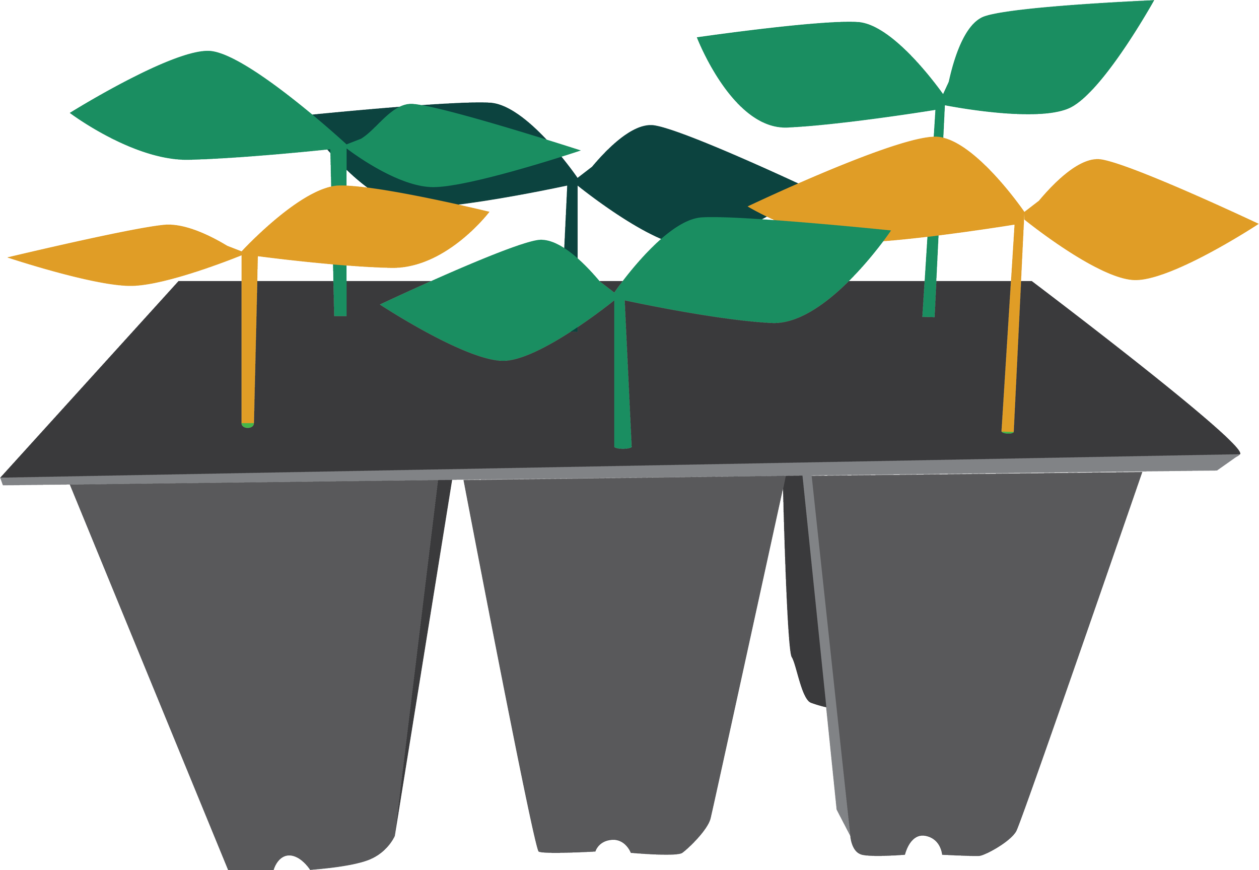 Digital illustration of seedlings with green and gold leaves growing in a black six-pack seedling container.