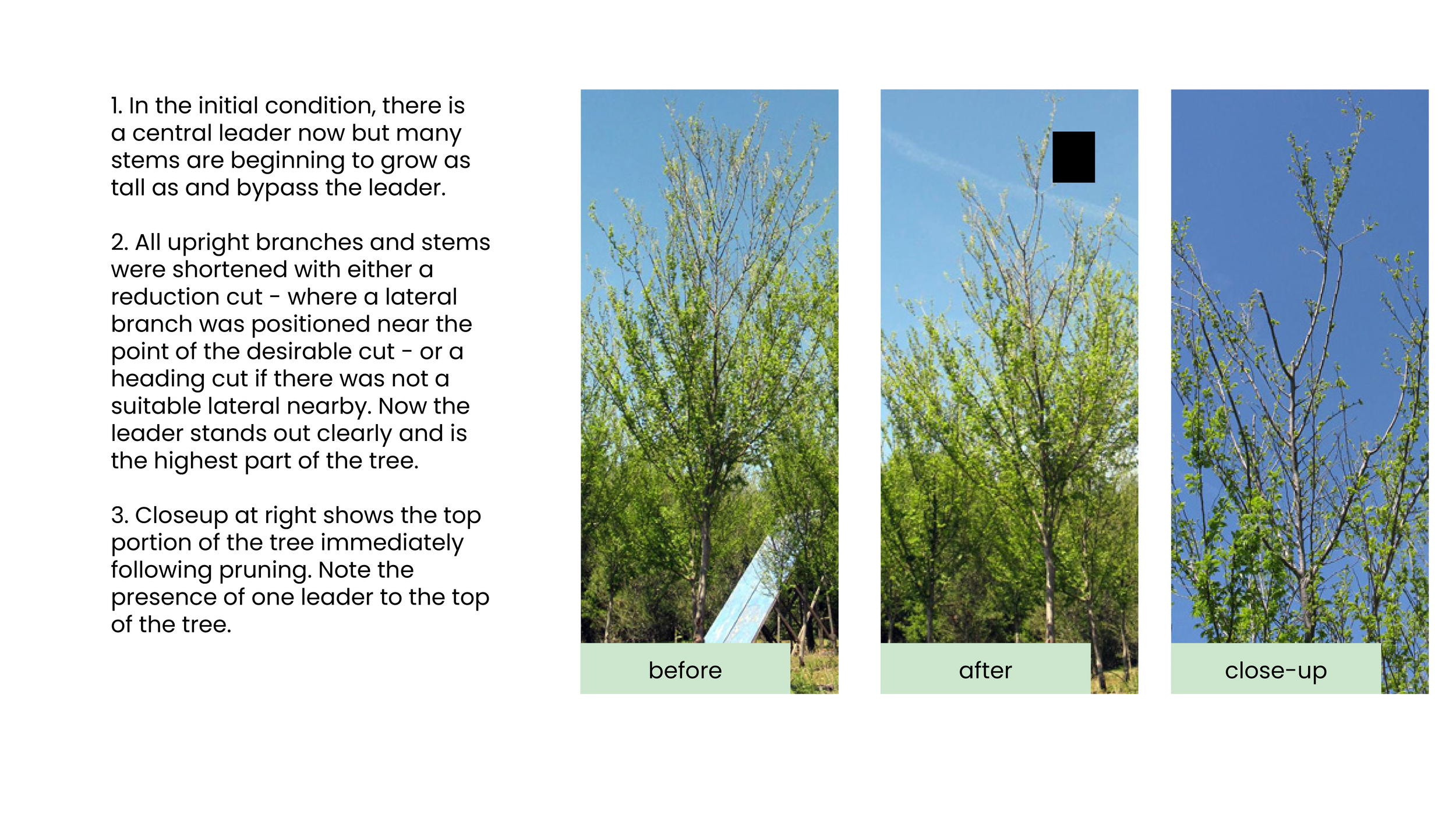 Structural Pruning Pages10.png