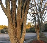 Upright Orientation 2.jpg