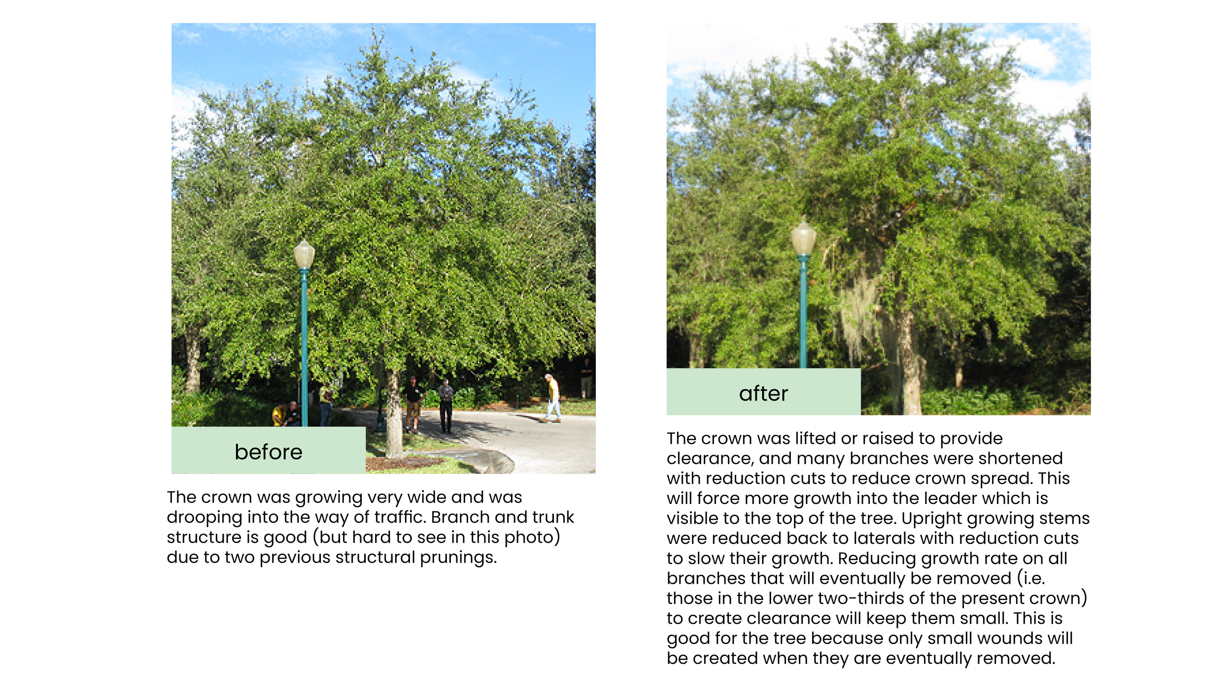 Structural Pruning Pages18.png