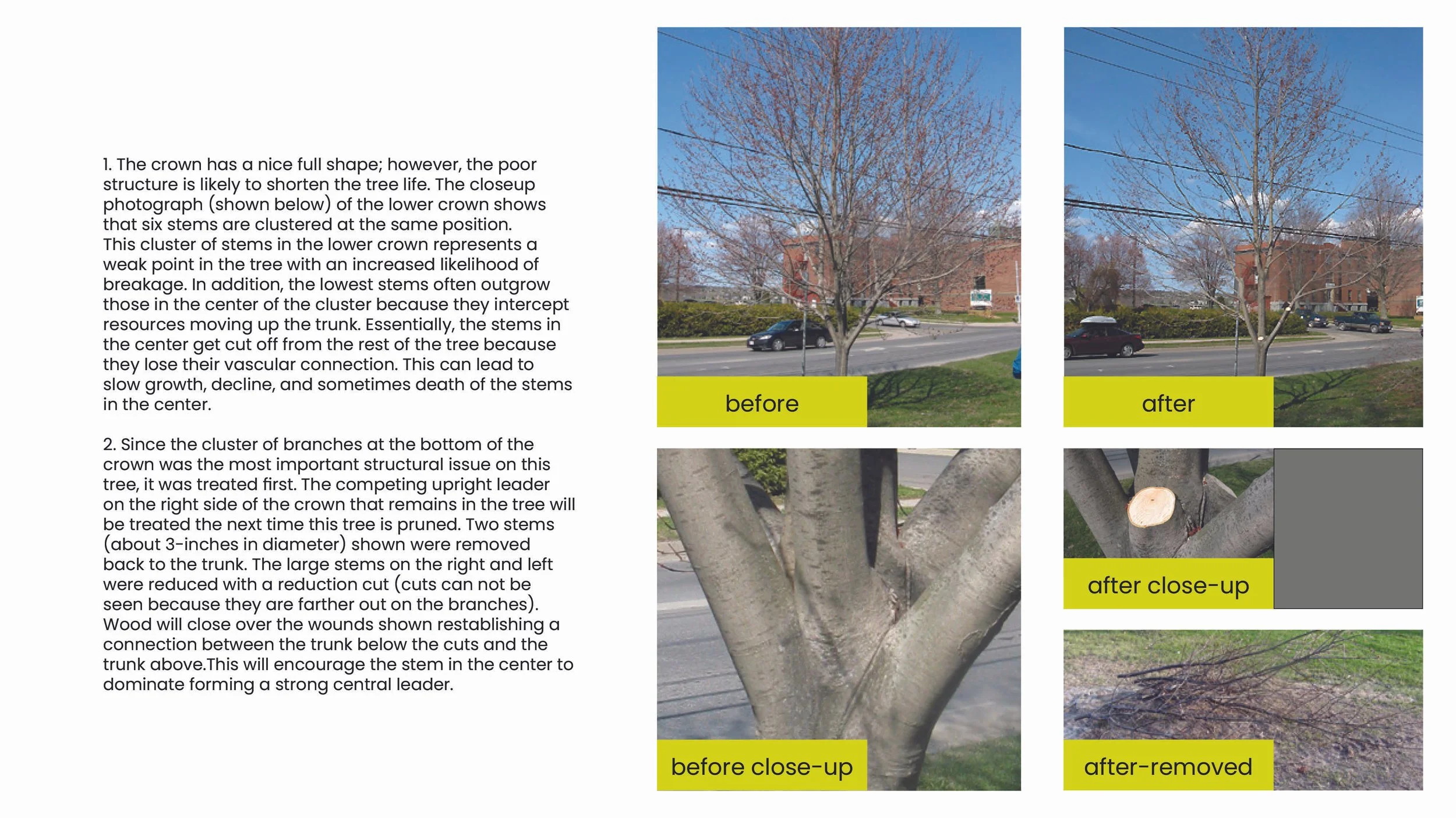Structural Pruning Pages15.jpg