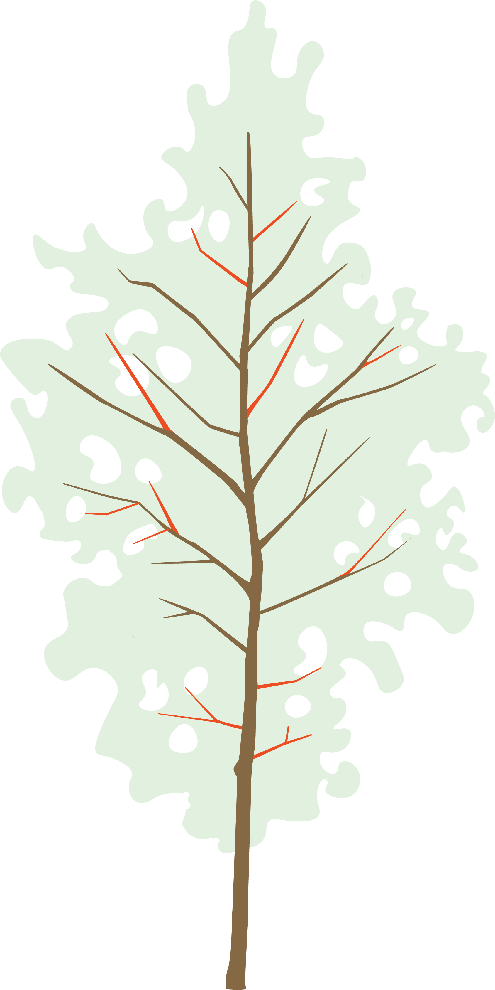 Diagram of a tree with a central trunk and branches, showing labels in red indicating different parts of the tree.