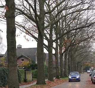 Strong Structure 4.jpg