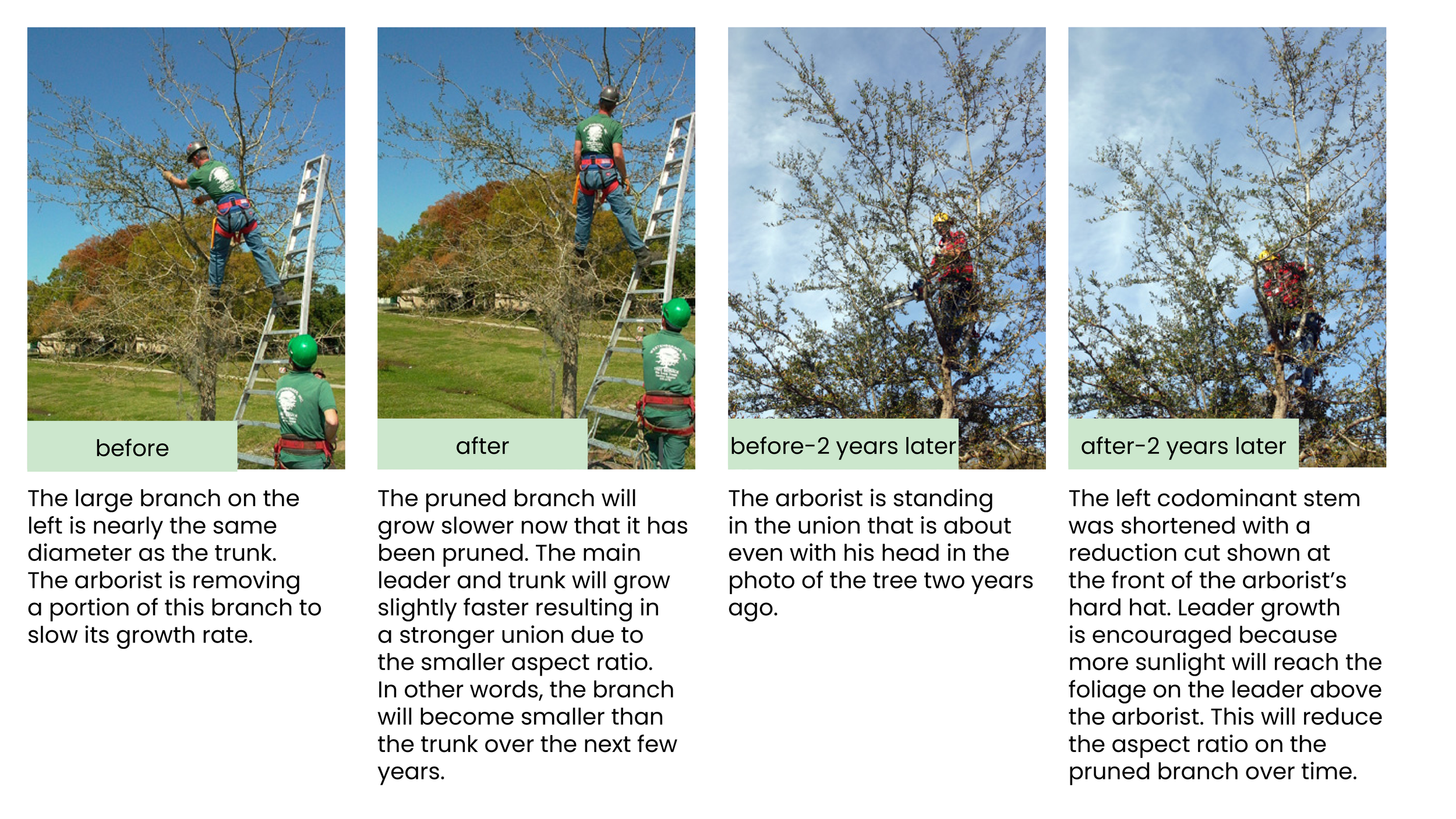 Structural Pruning Pages9.png