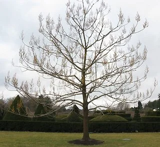 Strong Structure 5.jpg