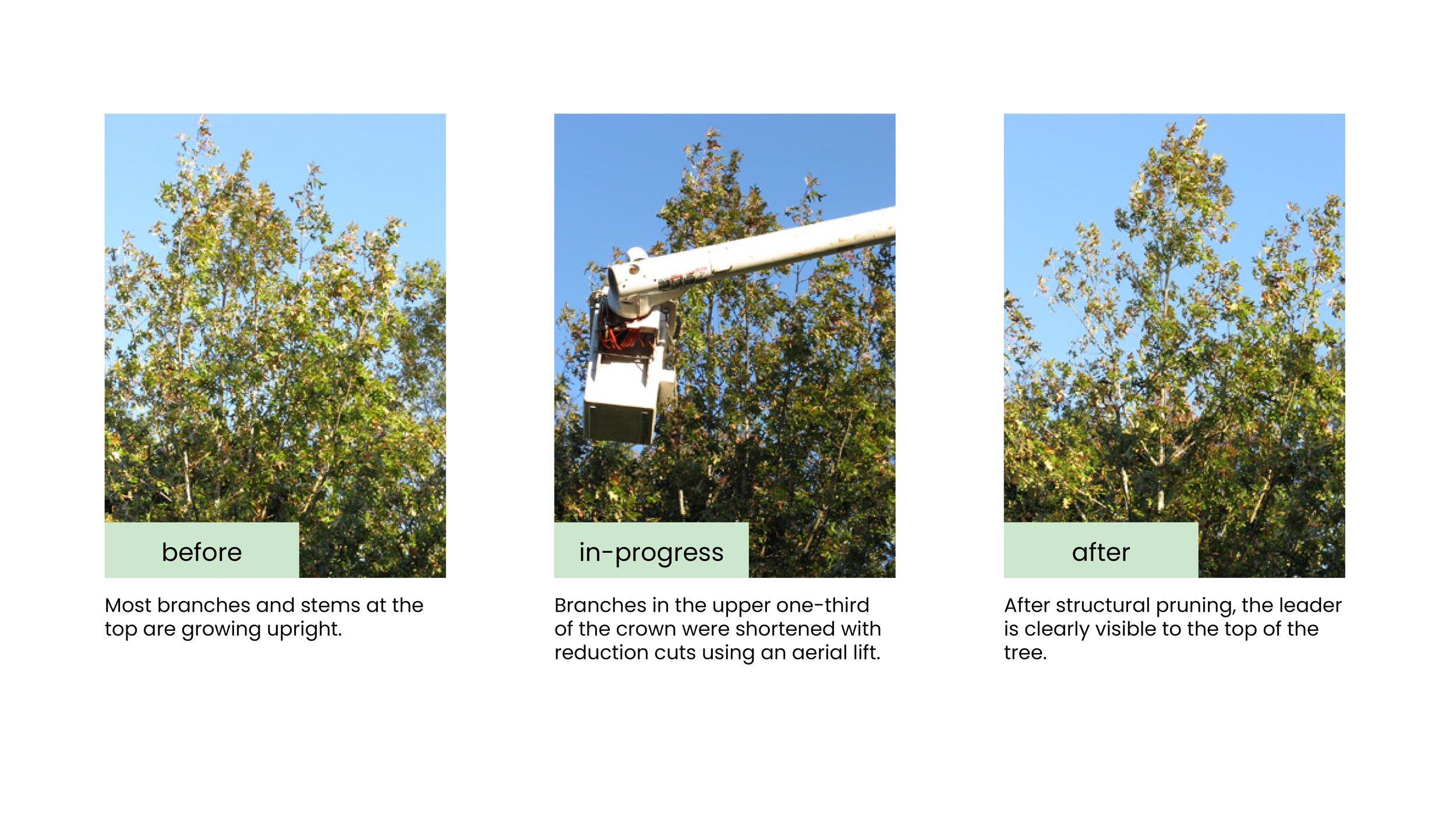 Structural Pruning Pages21.png