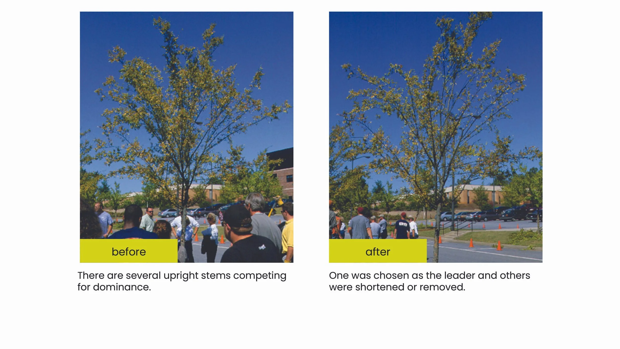 Structural Pruning Pages6.jpg