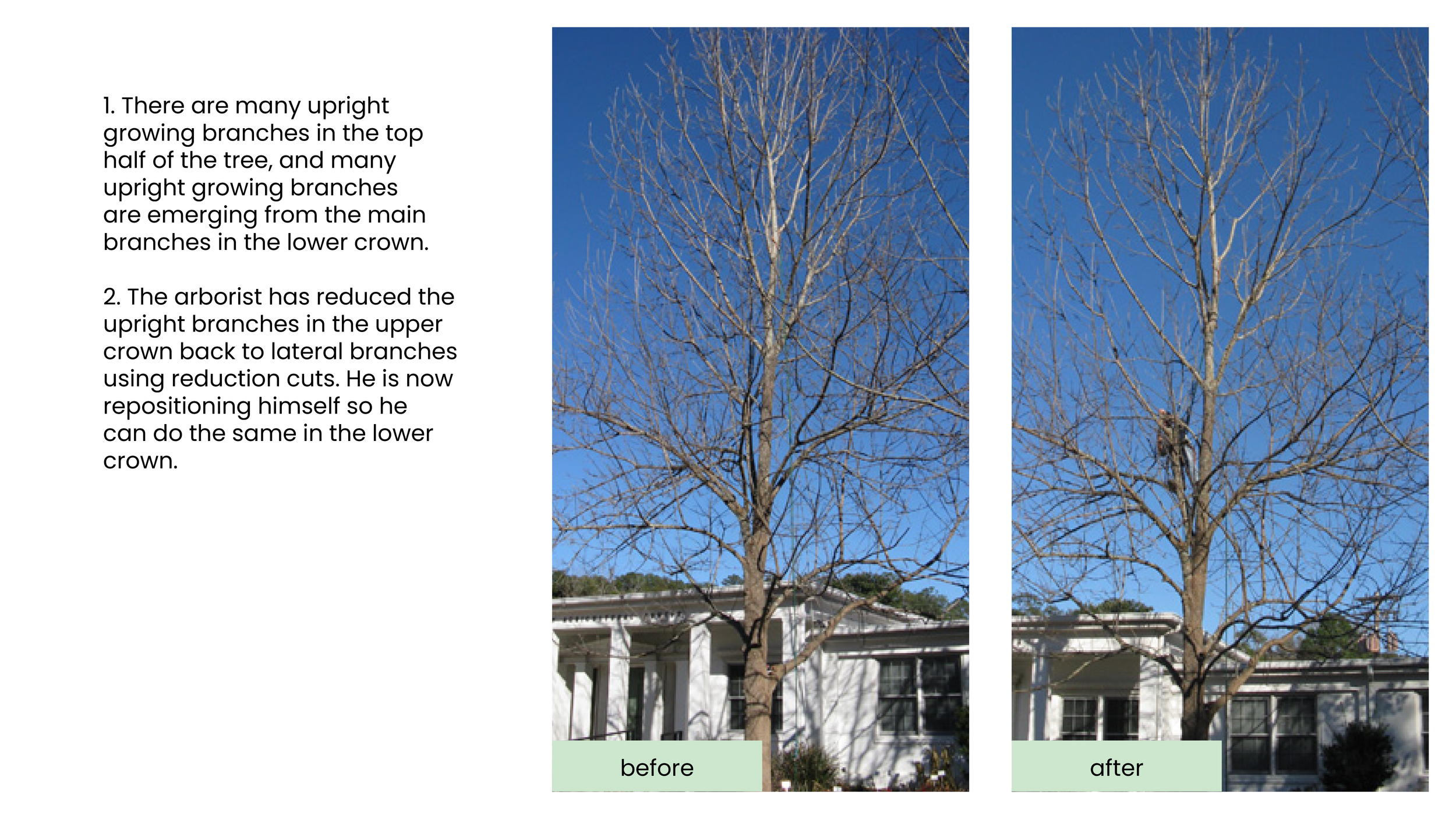 Structural Pruning Pages12.png