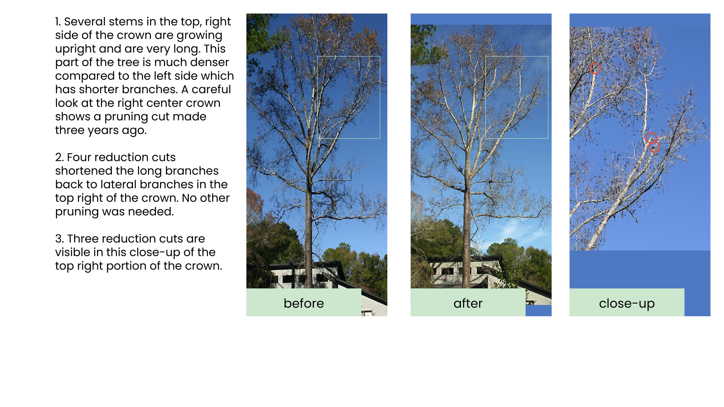 Structural Pruning Pages23.png