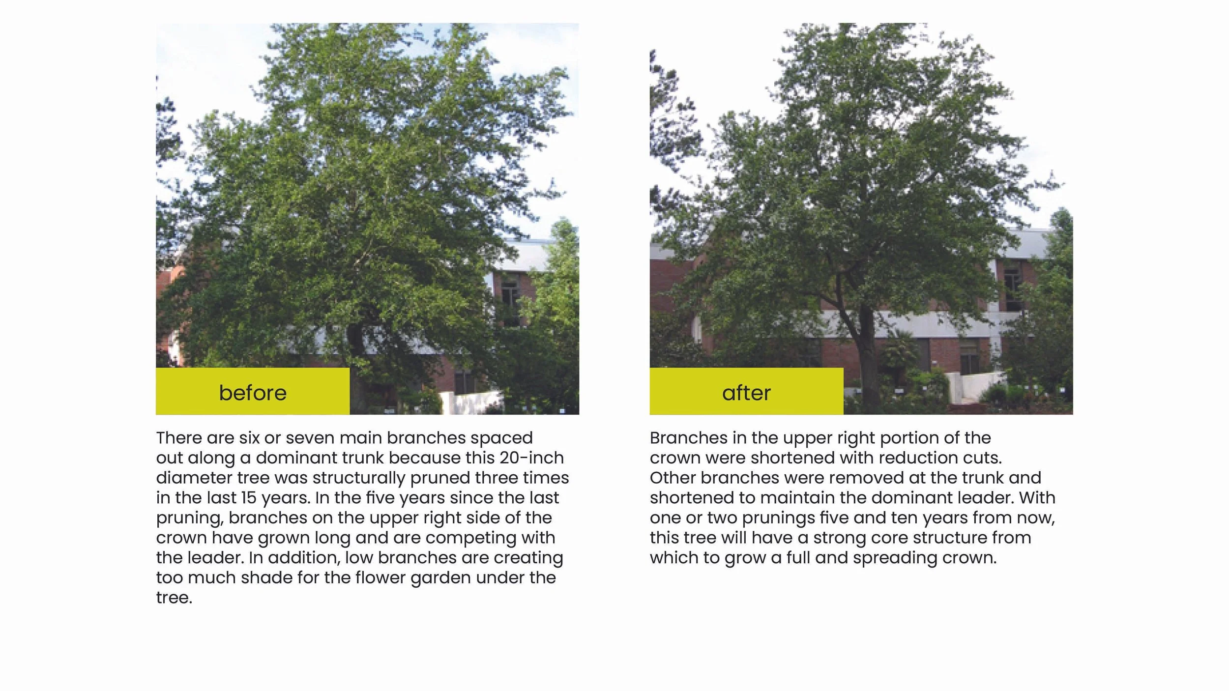 Structural Pruning Pages20.jpg