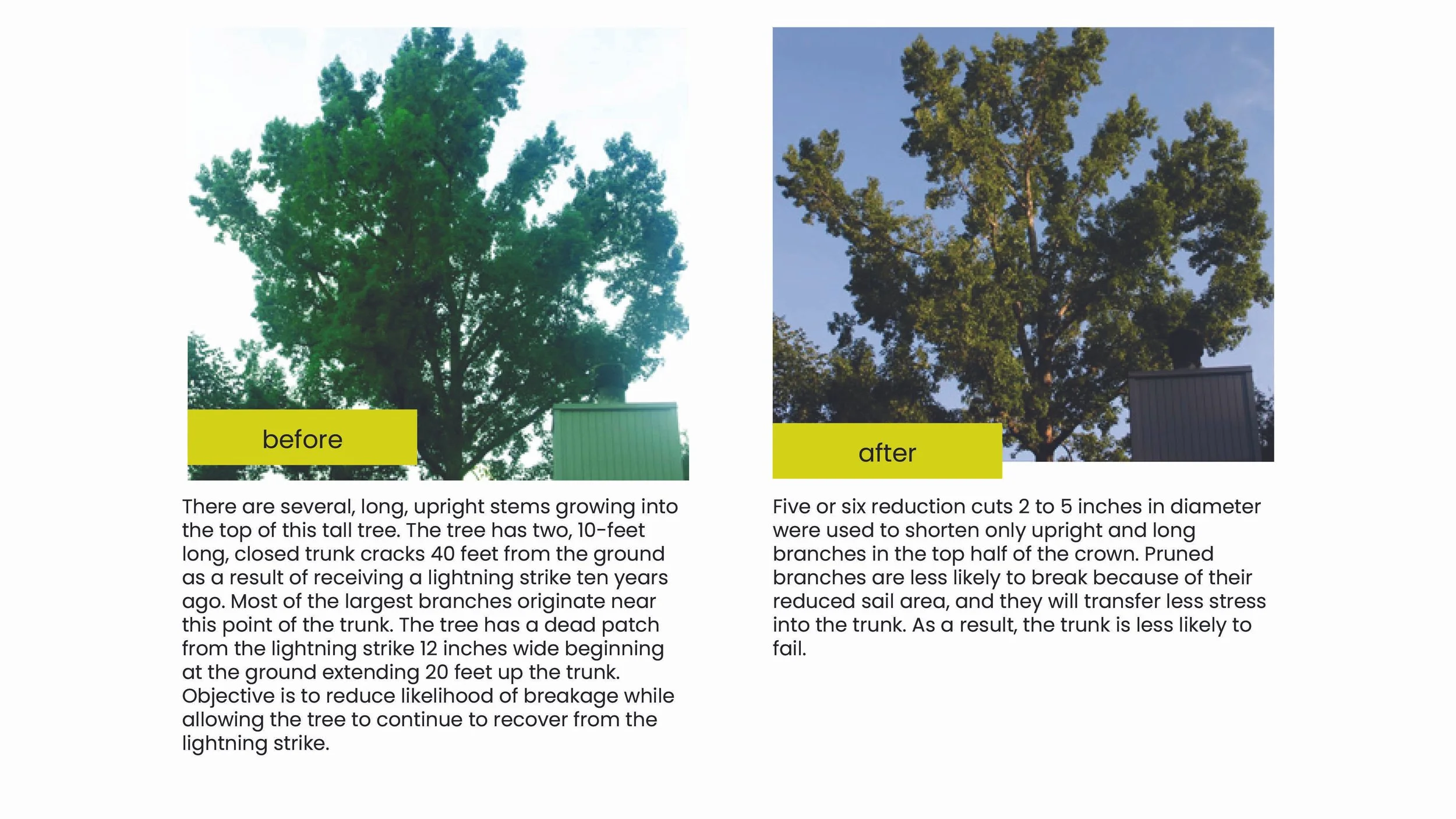 Structural Pruning Pages24.jpg