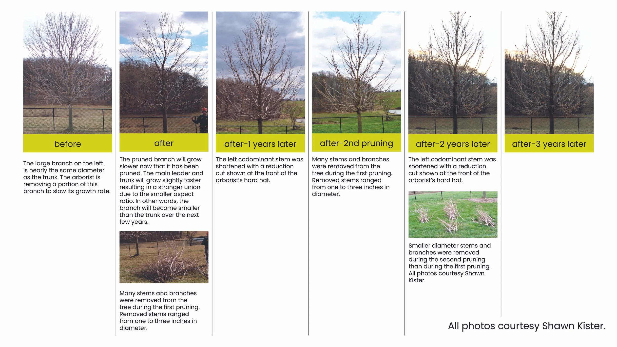 Structural Pruning Pages-ex2.jpg