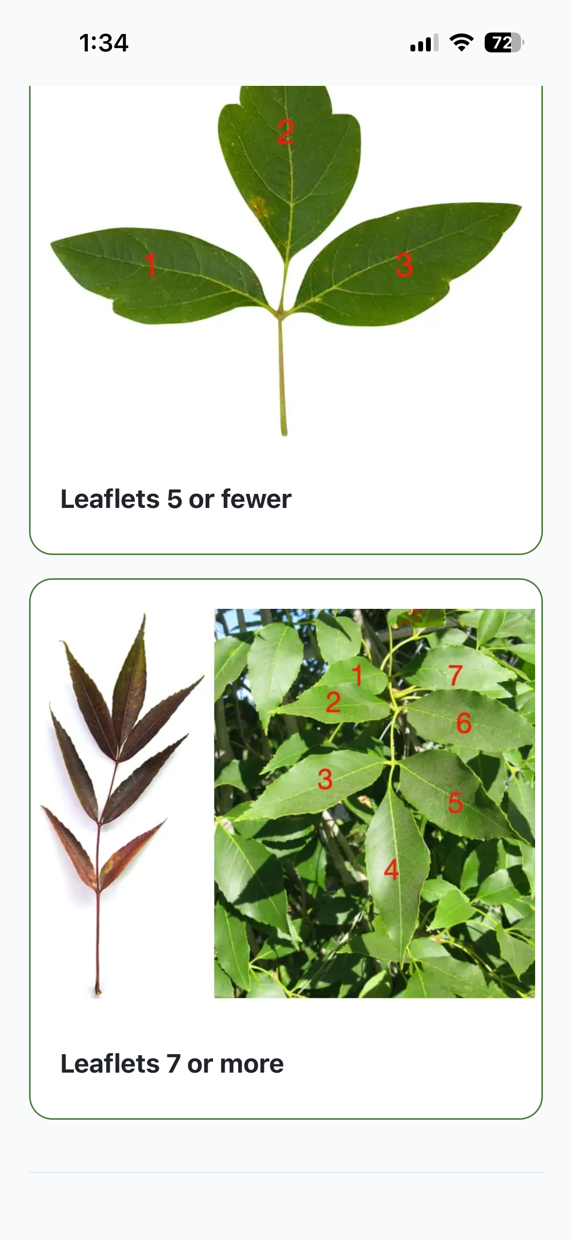 Two sets of leaves, one with three green leaves labeled 1, 2, and 3, and another with multiple green leaves and a reddish-brown leaf on the left, each set labeled for the number of leaflets, with the first labeled "Leaflets 5 or fewer" and the second labeled "Leaflets 7 or more".