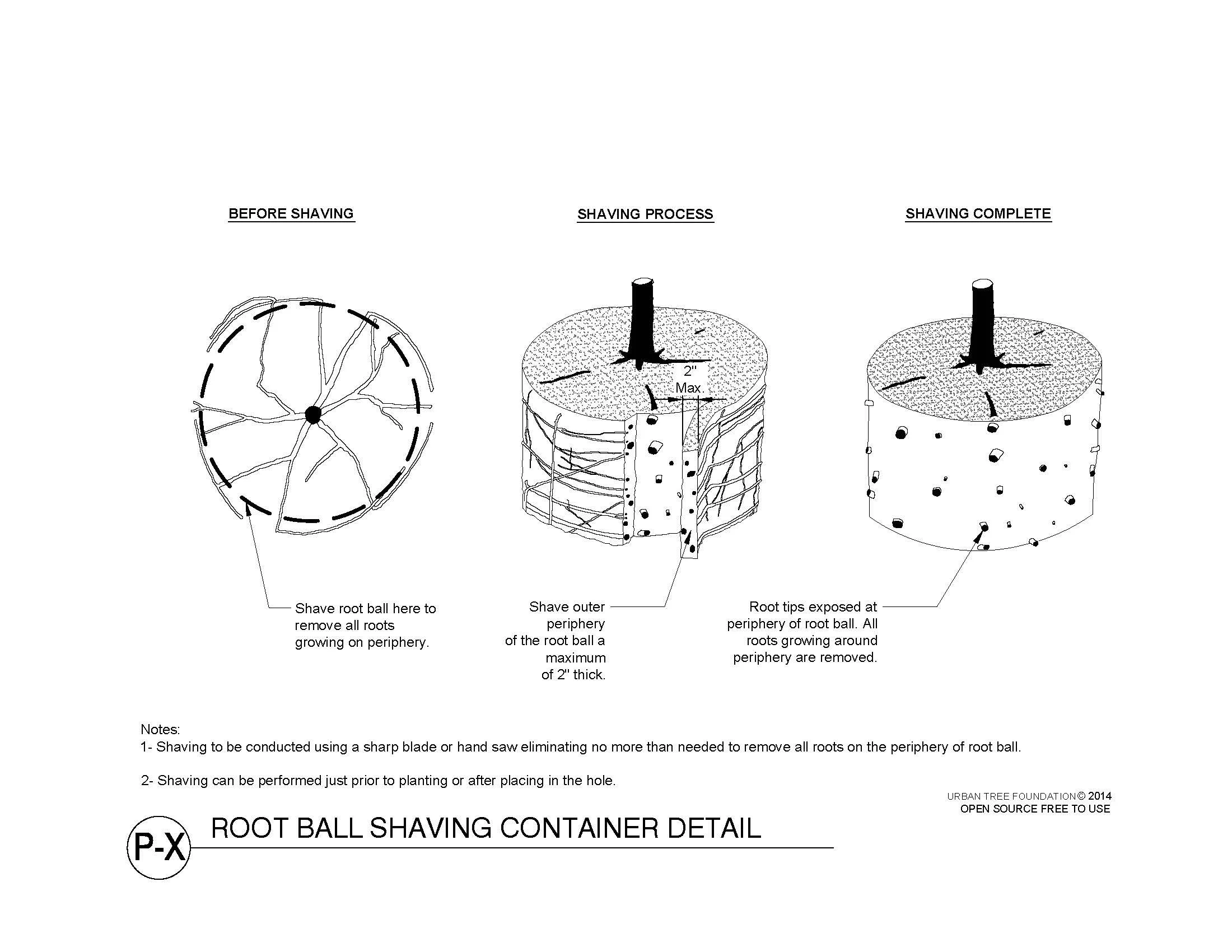 Diagram demonstrating the process of root ball shaving. The image is divided into three sections: the first shows the root ball before shaving, the second illustrates the shaving process with the root ball being shaved to a maximum of 2 inches thickness, and the third shows the root tips exposed at the perimeter of the root ball with roots removed from the core.