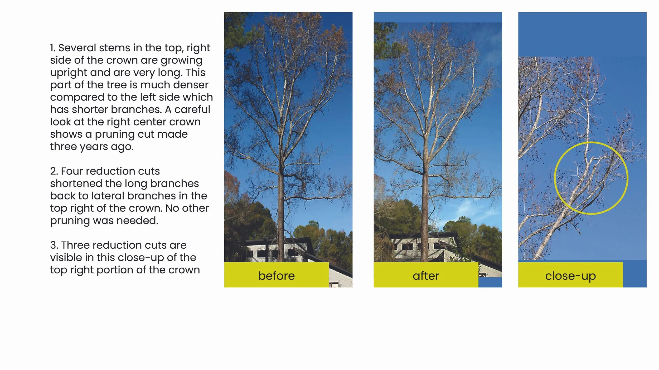 Structural Pruning Pages-ex3.jpg