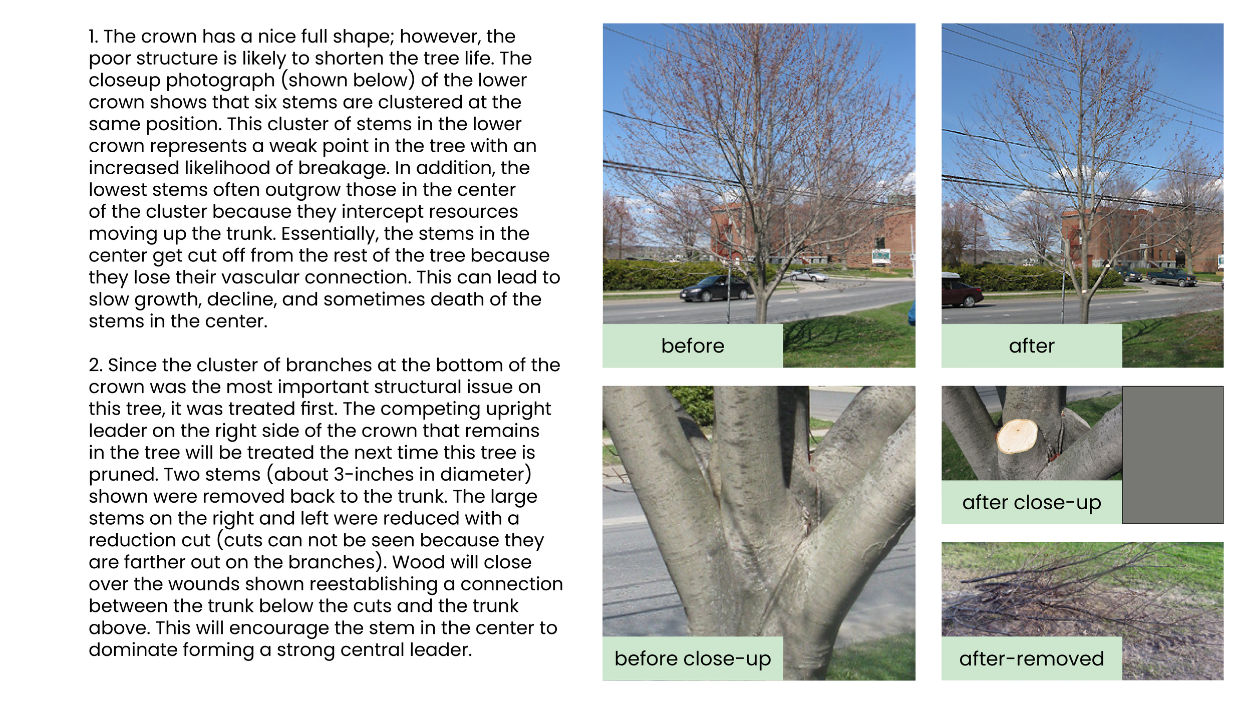 Structural Pruning Pages15.png